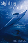 Sighting of a Dolphin