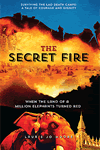 The Secret Fire
