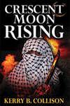 Crescent Moon Rising